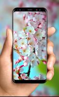 Spring Flowers Live Wallpaper - HD 4K Backgrounds الملصق