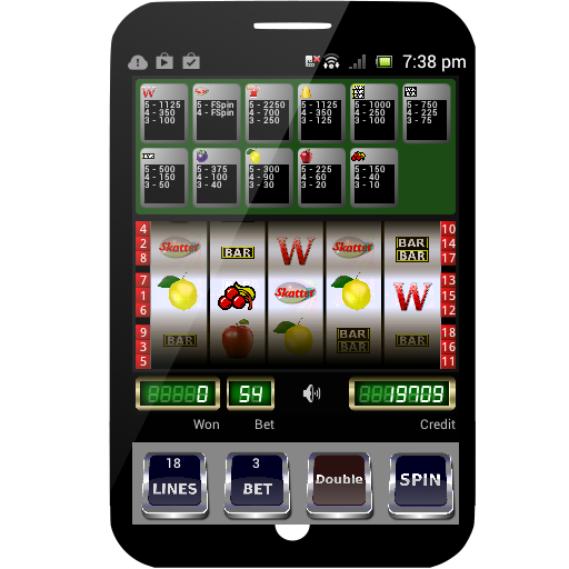 Wild Scatter Slot Machine