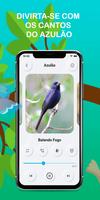 Burung Bluebird bernyanyi syot layar 1