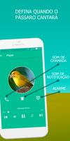 Canary bird singing screenshot 1