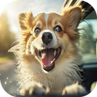 Hundgeräusche Zeichen