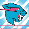 Mrbeast bio