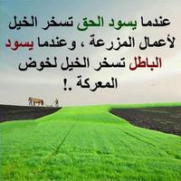 كلمات راقية 스크린샷 2