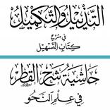 التذييل والتكميل في النحو