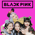 BLACKPINK Wallpaper Offline
