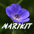 APK Marikit Song Lyrics