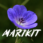 Marikit Song Lyrics icône