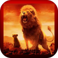 lion king