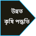 Agriculture farming - Assamese