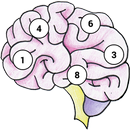Brain Memory Exercise APK