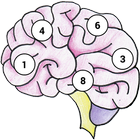 Brain Memory Exercise icône