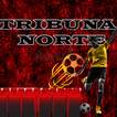Tribuna En ViVo Norte