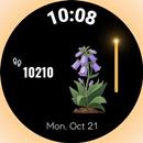Bloom Steps: Flower Watch Face APK