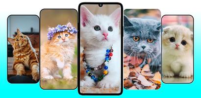 Cute Cat & Kitten Wallpaper HD Plakat