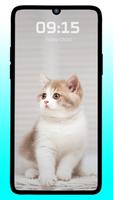 Cute Cat & Kitten Wallpaper HD Screenshot 3