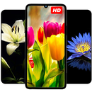 Flower Wallpapers HD 4K APK