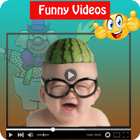 Top Funny Videos -Best Laughing Moments icon