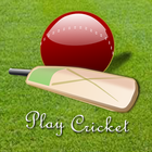 Play Cricket أيقونة