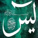 مجربات وأسرار سورة يس APK