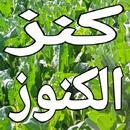 كنز الكنوز الأصلية APK