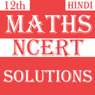 Class 12 Maths NCERT Solution Hindi Zeichen