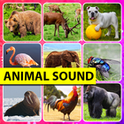 Real Sound Of Animals biểu tượng