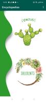 Encyclopedia of Cacti poster