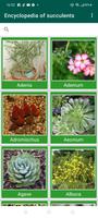 Encyclopedia of Cacti screenshot 2