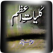 Punjabi & Urdu Poetic Works of