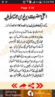 Punjabi & Urdu Poetic Works of capture d'écran 2