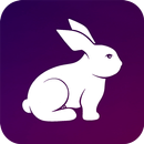 Rabbit VPN - Fast Hotspot & Unlimited Secure Proxy APK