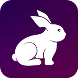 Rabbit VPN - Fast Hotspot & Unlimited Secure Proxy ikona