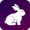 Rabbit VPN - Fast Hotspot & Unlimited Secure Proxy