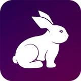Rabbit VPN - Fast Hotspot & Unlimited Secure Proxy-icoon