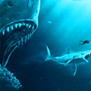 Mega Shark hunting  : Shark Games APK