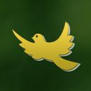 Yellow Spirited Icon Pack APK
