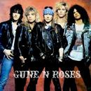 Gune n Roses song offline APK