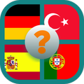 guess flag