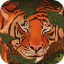 I See the Animals Sleeping APK