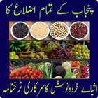 Punjab Daily Rate list All districts of  Punjab أيقونة