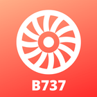 B737 Pilot Trainer - Type Rati simgesi