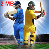 Cricket 2 mb icône