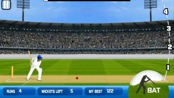 Cricket 2 mb poster