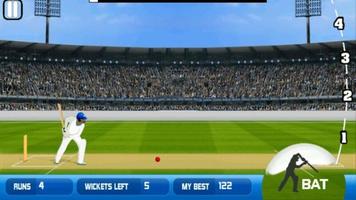 Cricket 2 mb Cartaz