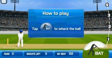 Cricket 2 mb screenshot 2