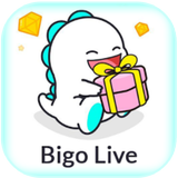 Guide for Bigo Lite in hindi - Live Chat app icono