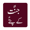 Jannat k Pattay Novel Offline icon