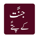 Jannat k Pattay Novel Offline APK