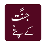 Jannat k Pattay Novel Offline