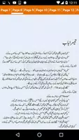 Darbar e Dil imagem de tela 6
